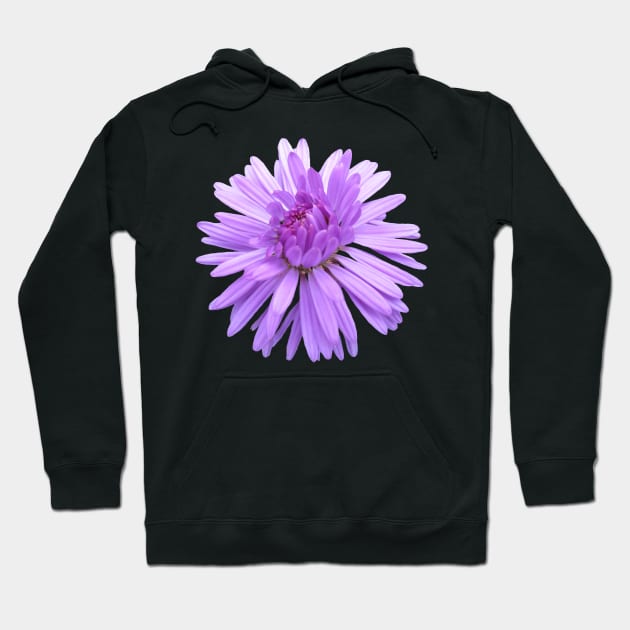 purple flower, flowers, nature, blooms, violet Hoodie by rh_naturestyles